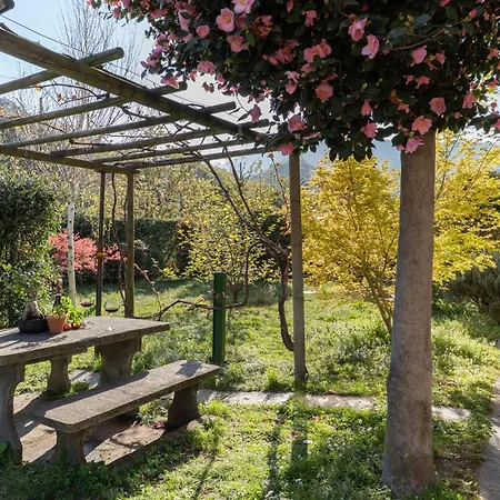 Apartment A Peaceful Oasis 2 Minutes From Locarno Festival Losone